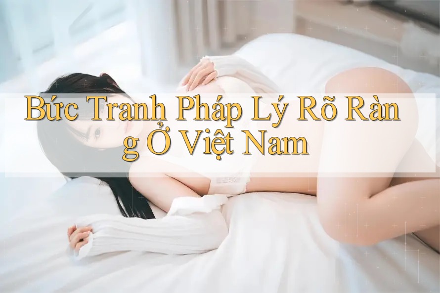Bức Tranh Pháp Lý Rõ Ràng Ở Việt Nam