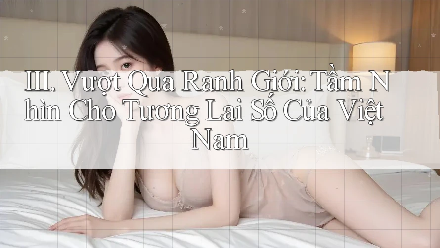 III. Vượt Qua Ranh Giới: Tầm Nhìn Cho Tương Lai Số Của Việt Nam