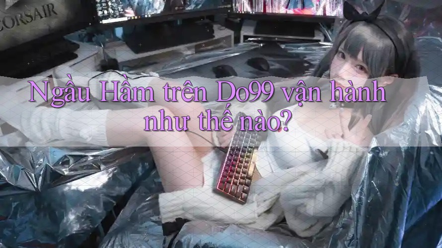 Ngầu Hầm trên Do99 vận hành như thế nào?