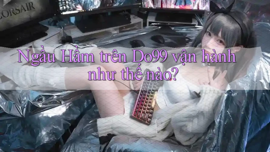 Ngầu Hầm trên Do99 vận hành như thế nào?