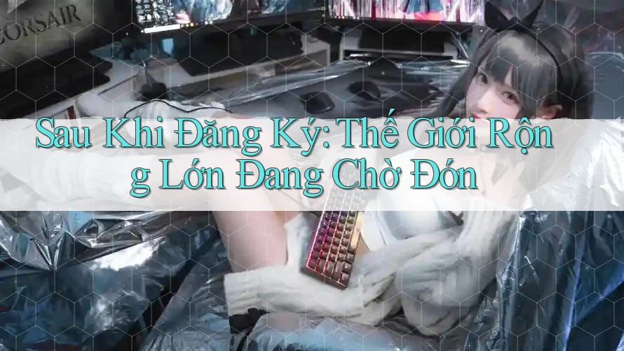 Sau Khi Đăng Ký: Thế Giới Rộng Lớn Đang Chờ Đón