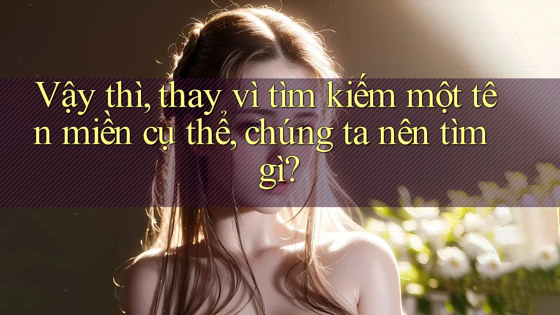 Vậy thì, thay vì tìm kiếm một tên miền cụ thể, chúng ta nên tìm gì?